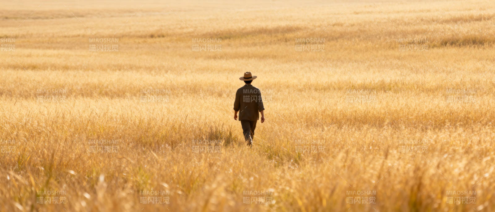麦田行者图片