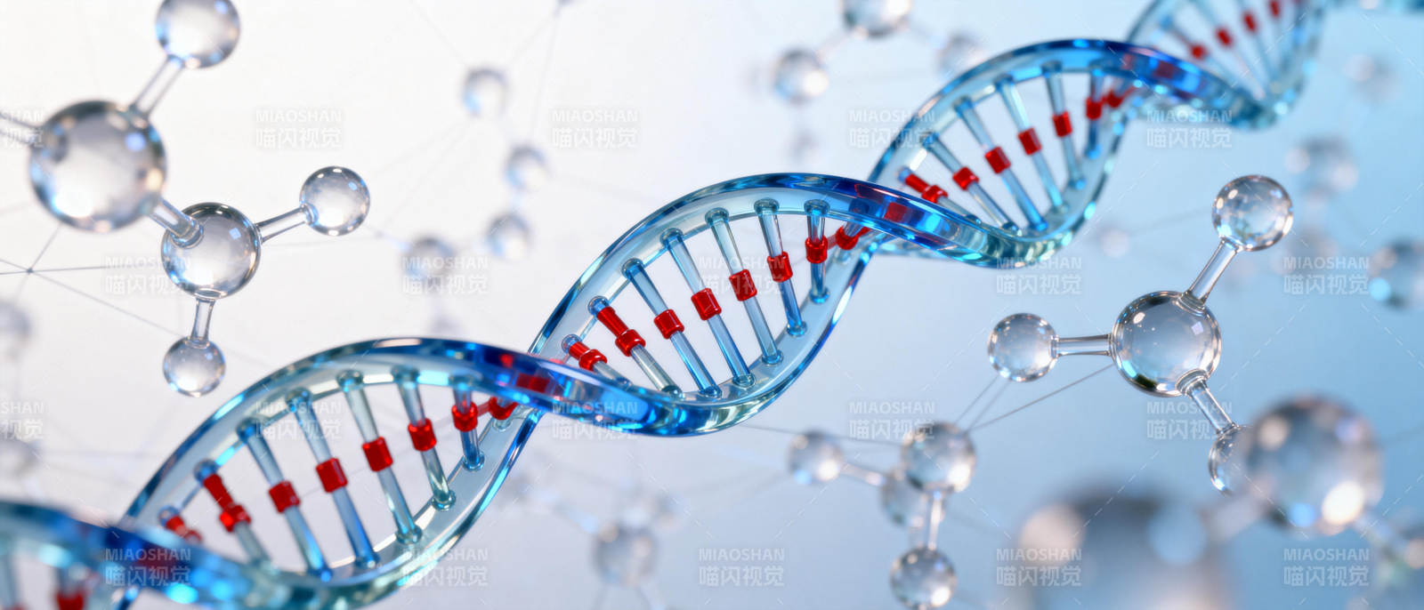 DNA双螺旋结构图片