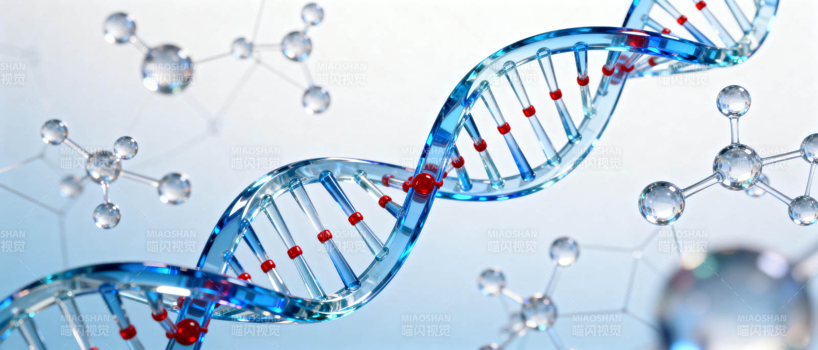 DNA双螺旋结构图片
