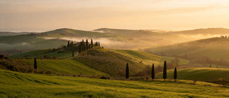 晨雾中的托斯卡纳图片