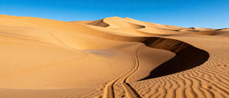 沙漠沙丘车辙图片