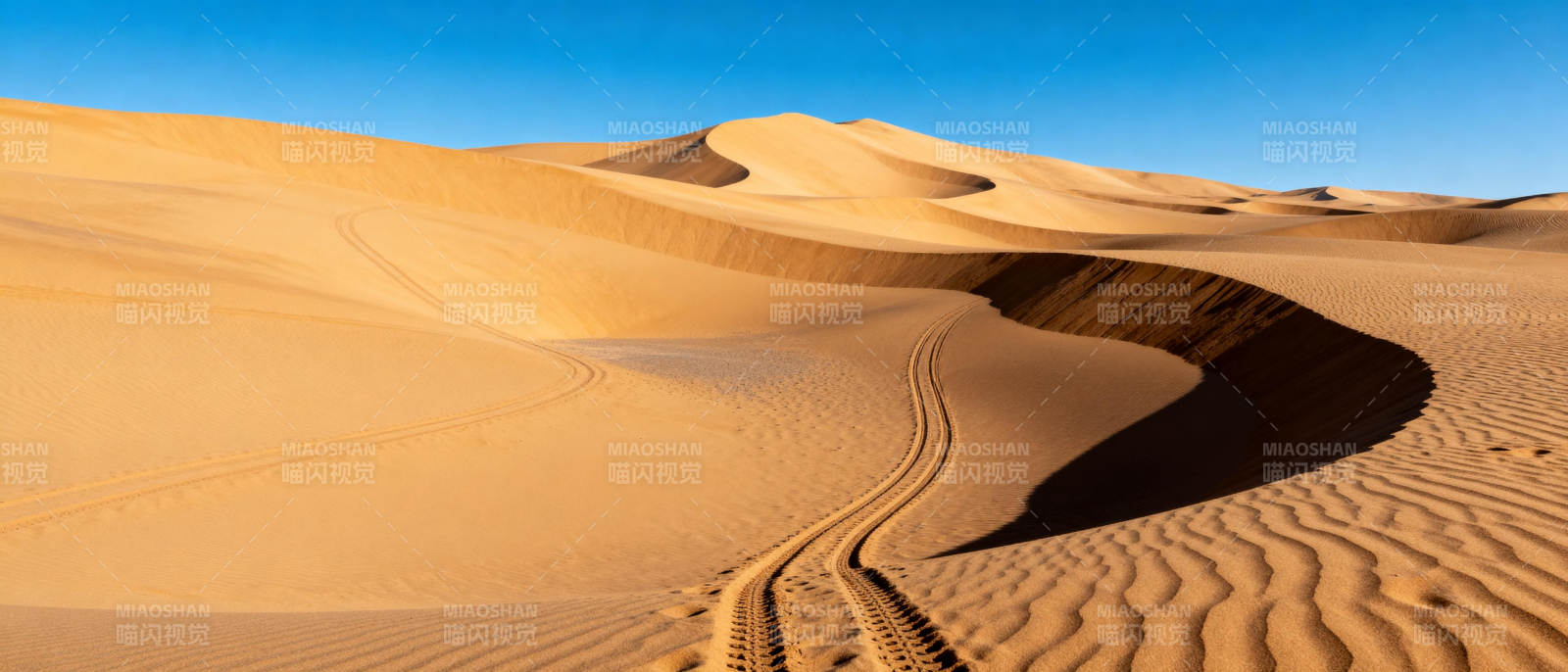 沙漠沙丘车辙图片