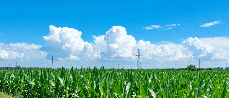 绿野蓝天 云卷云舒图片