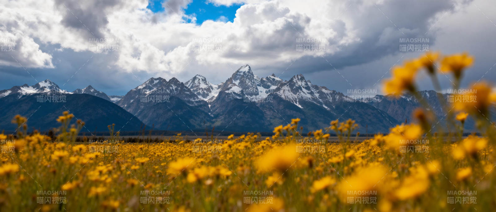 雪山花海 春意盎然图片