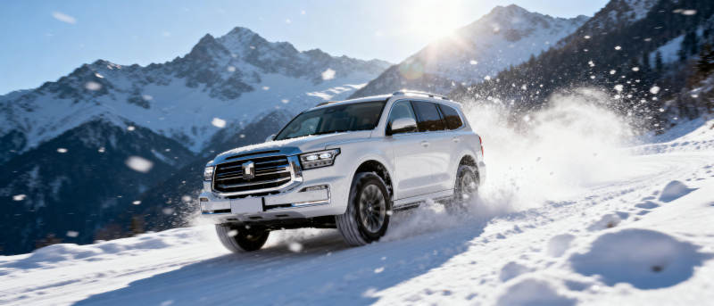 雪地驰骋 山野之巅图片