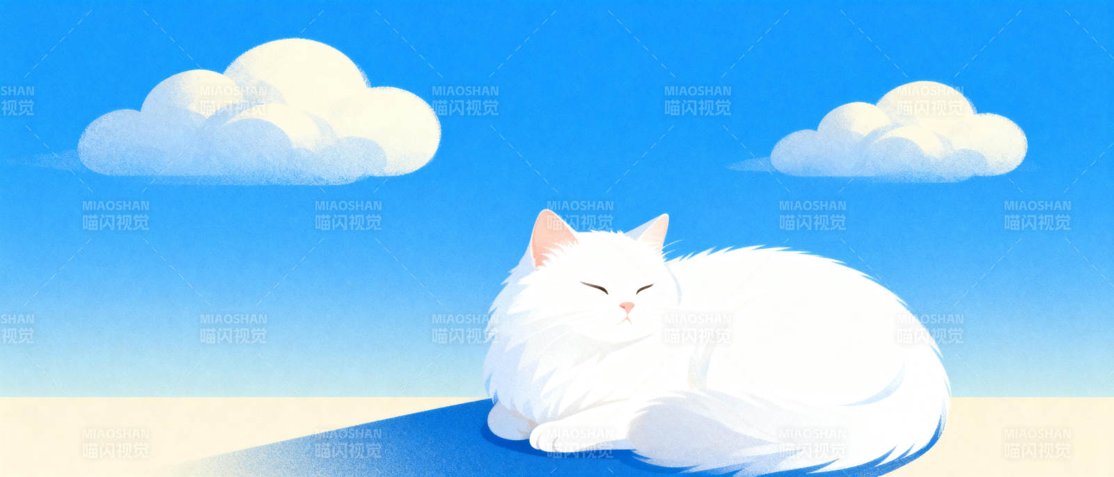 白猫晒太阳图片