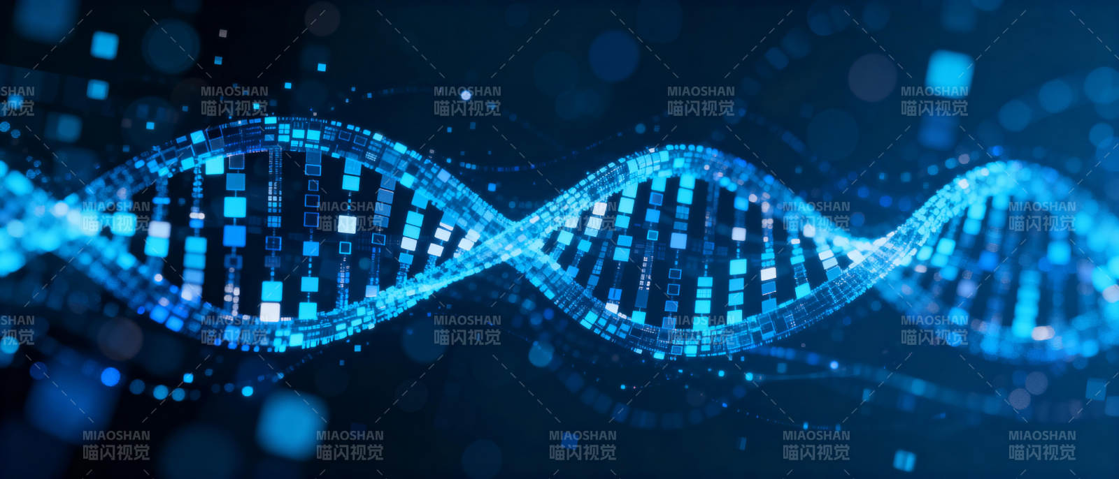数字DNA双螺旋图片