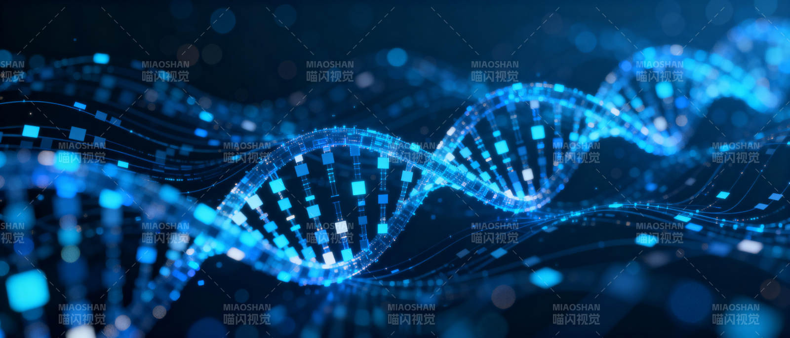 DNA双螺旋结构图片