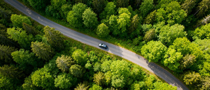林间公路行车图图片