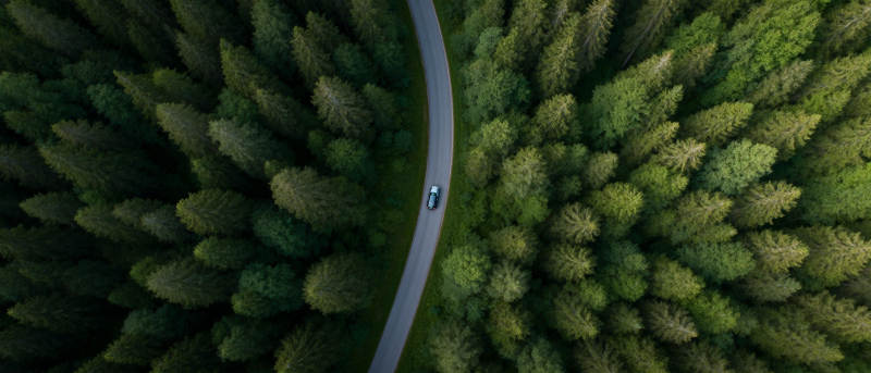 林间小路车行图图片