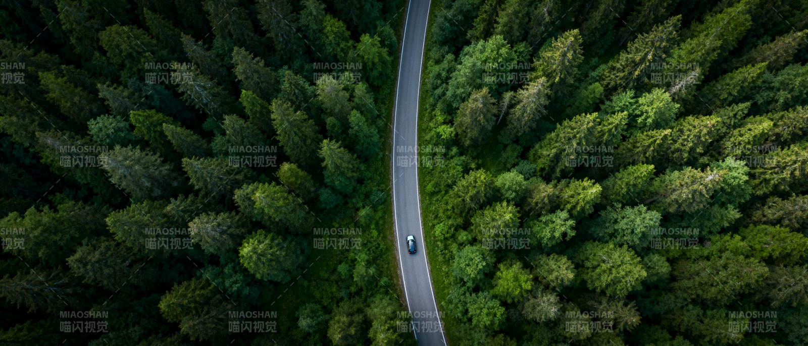 林间公路行车图图片