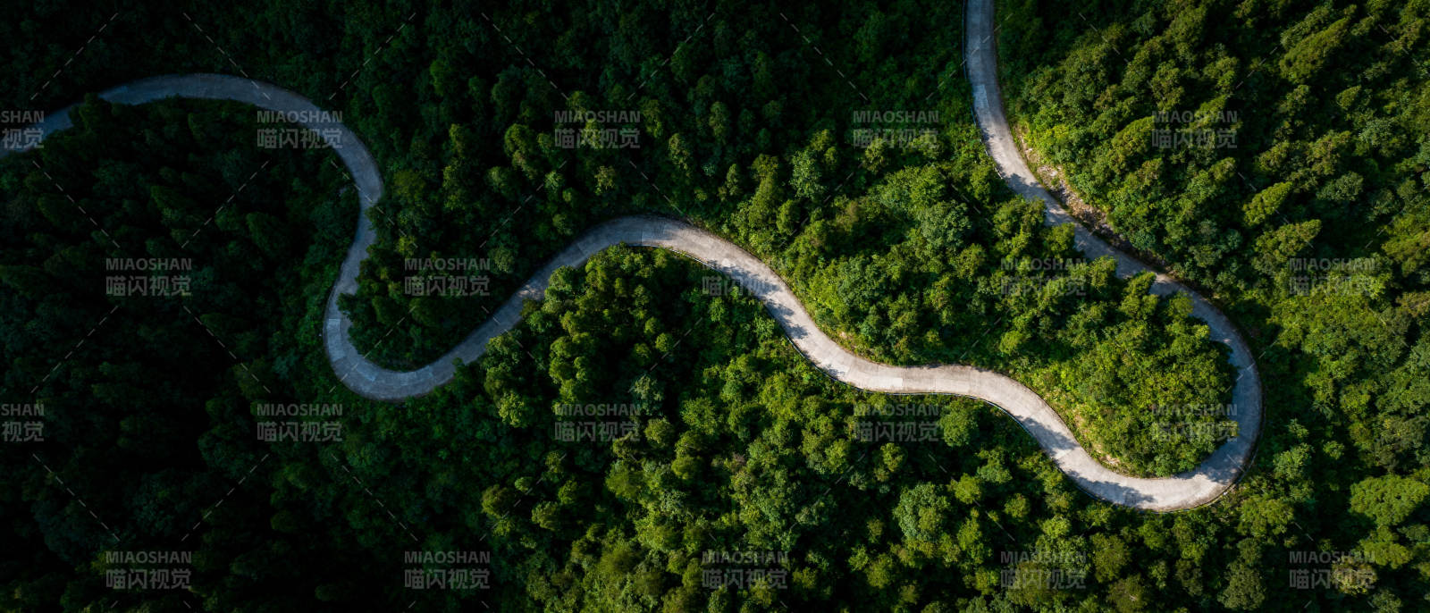 蜿蜒山路穿林间图片