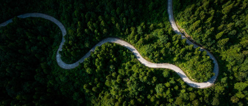 蜿蜒山路穿林间图片