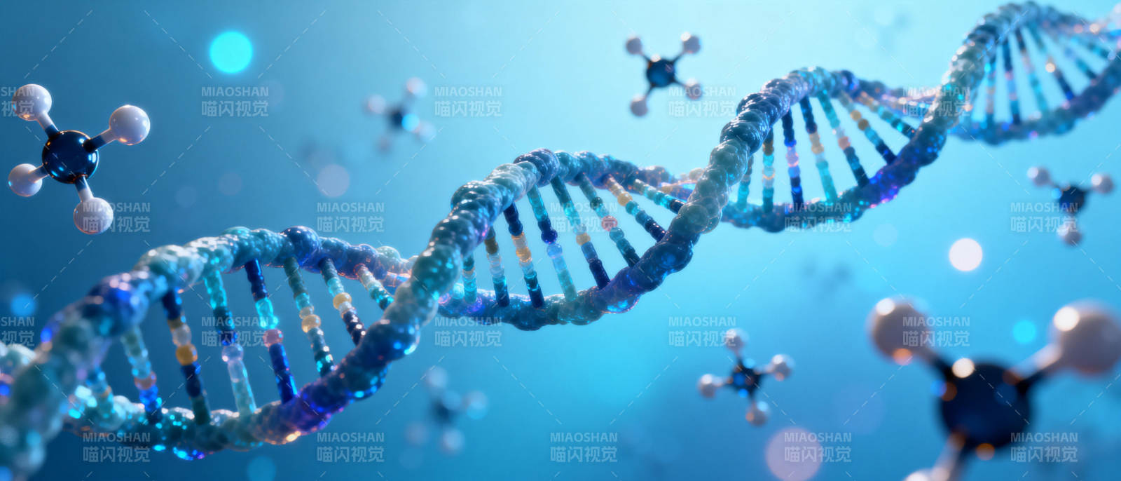 DNA双螺旋结构图片