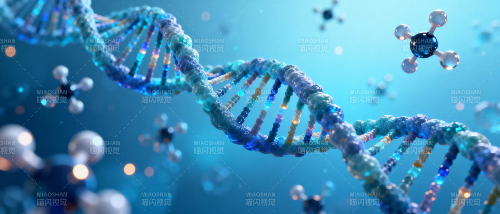 DNA双螺旋结构图片