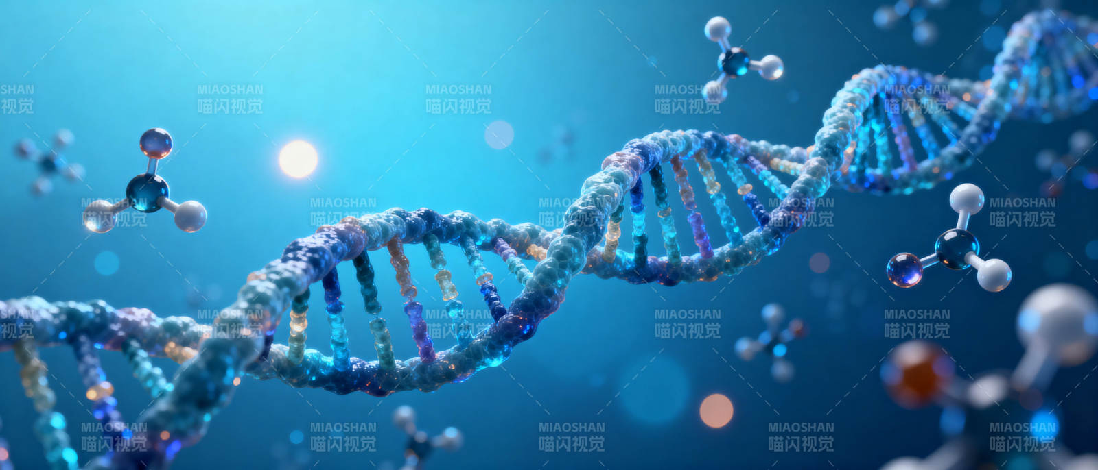 DNA双螺旋结构图片