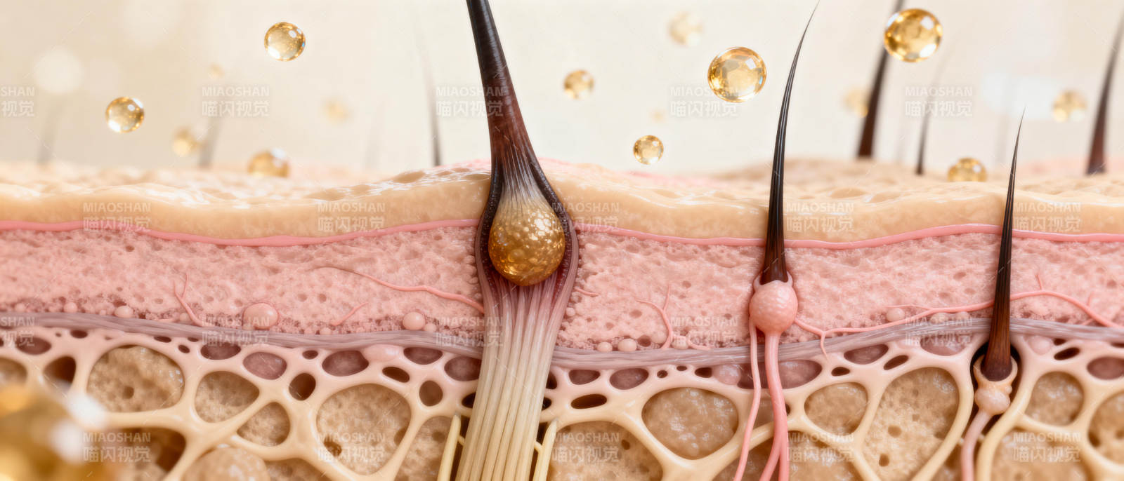 毛孔清洁示意图图片