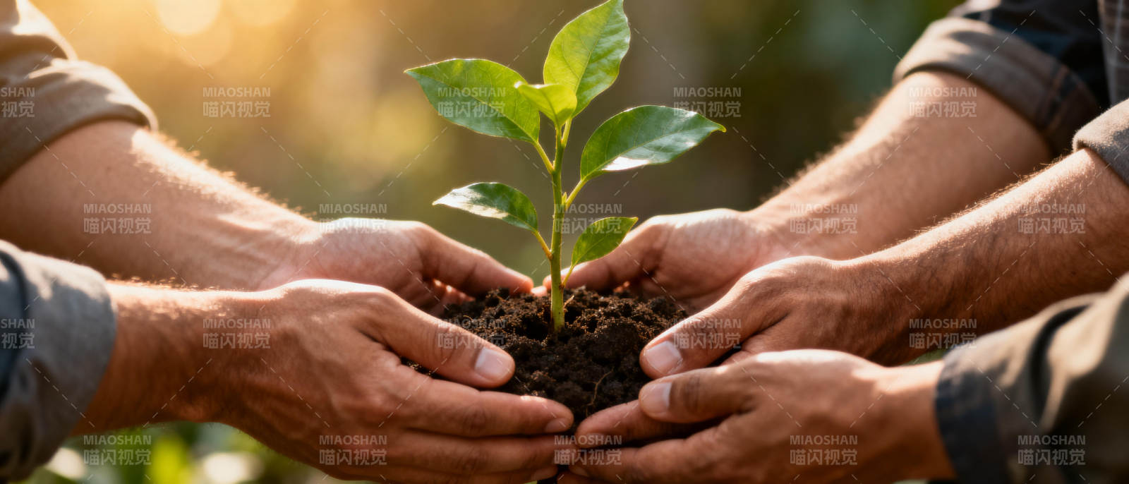 携手种绿 共护自然图片