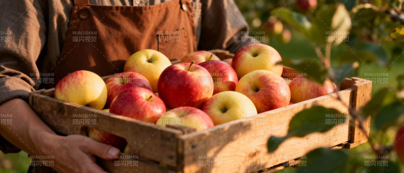 丰收的苹果园图片