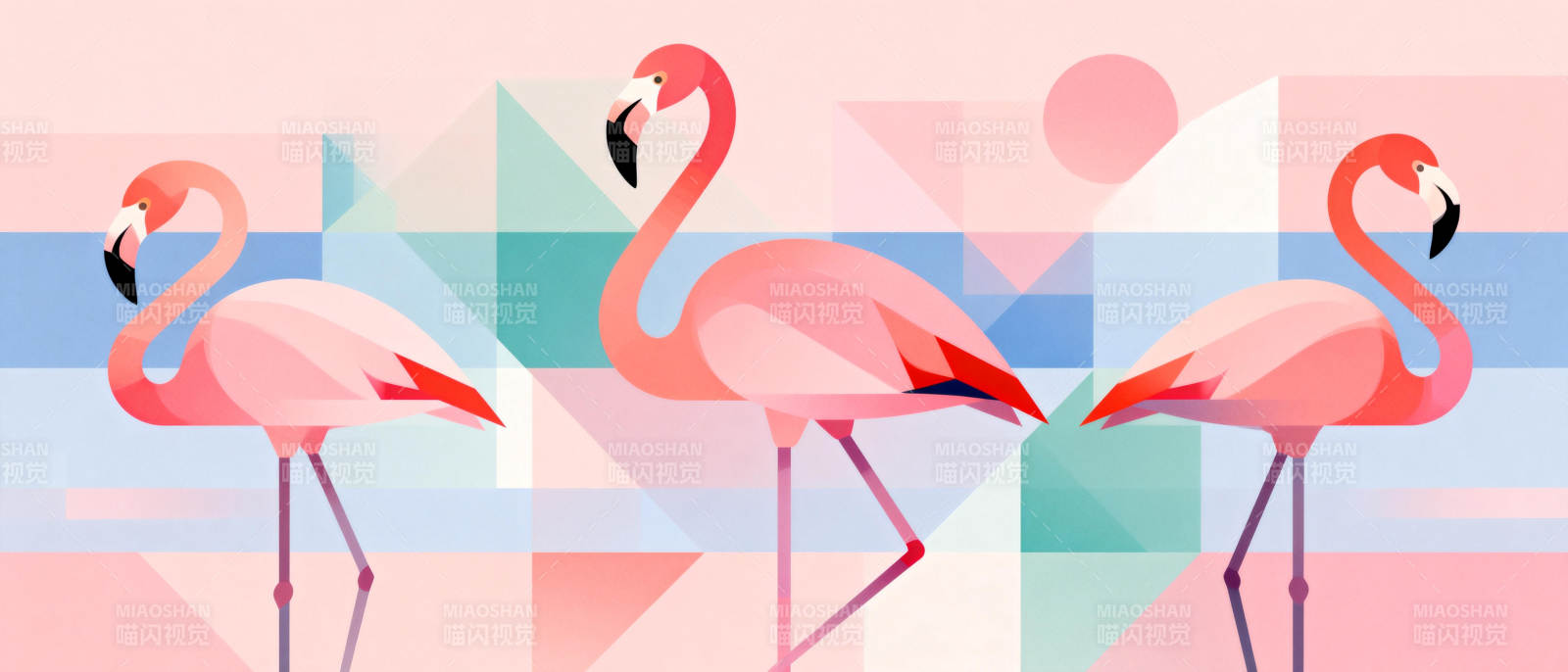 粉红火烈鸟图片