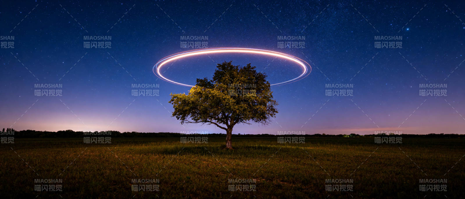 星夜树影环光图片