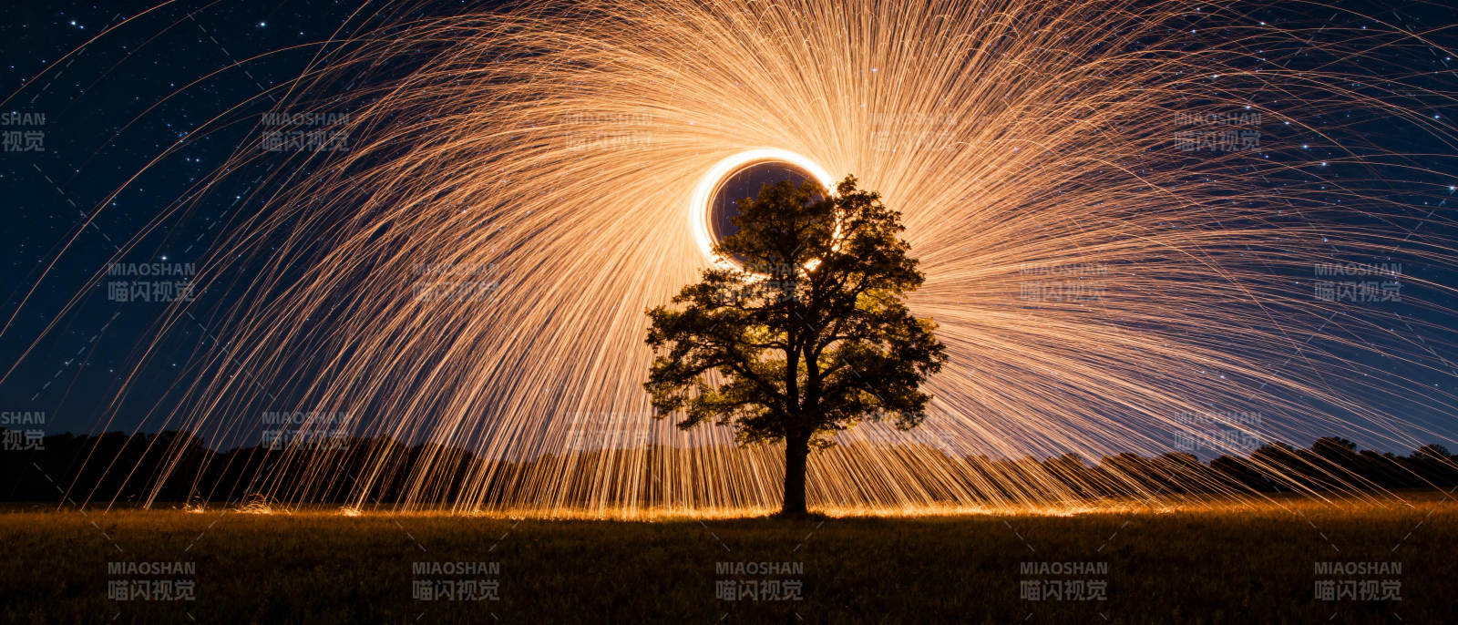 星轨树影夜景图片