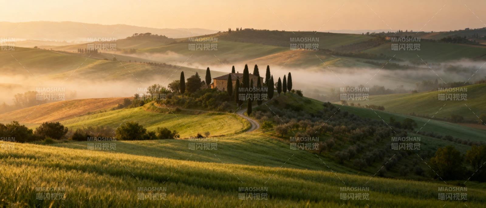 晨雾中的托斯卡纳图片