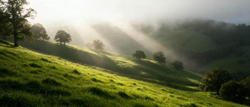 晨光穿透山间雾霭图片