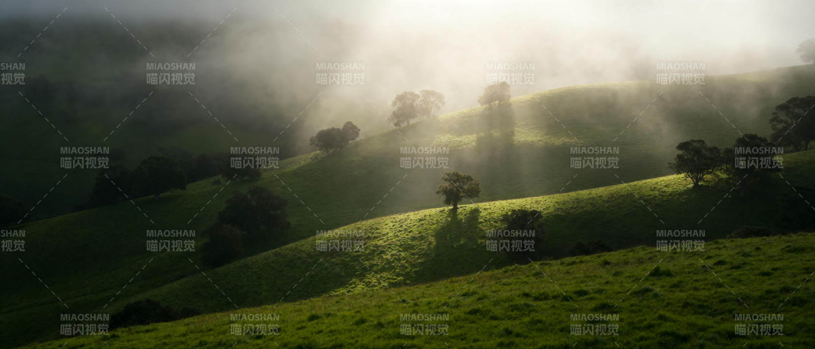 晨雾中的绿野山丘图片
