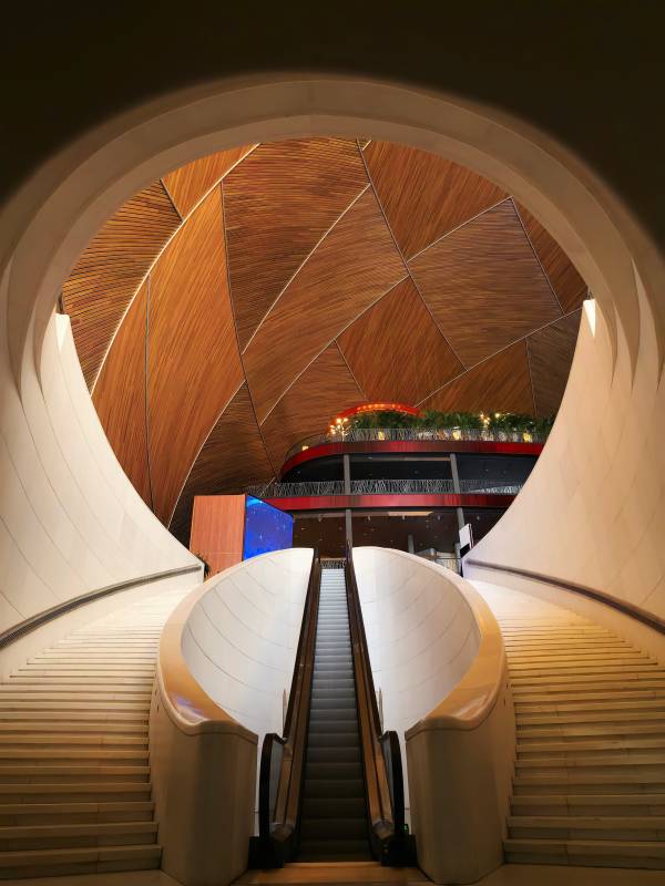 现代建筑的木质穹顶 国家大剧院图片