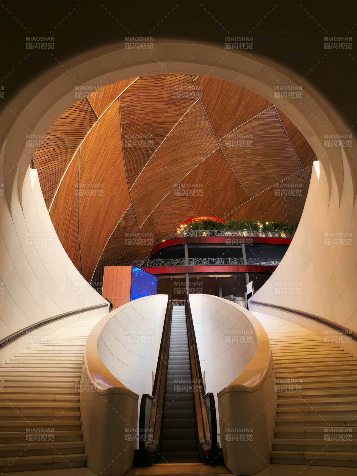 现代建筑的木质穹顶 国家大剧院图片