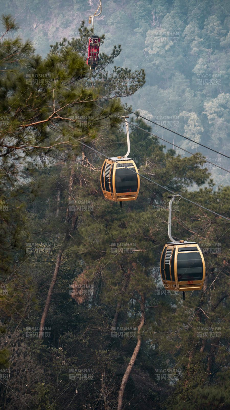重庆南温泉缆车穿林而过图片