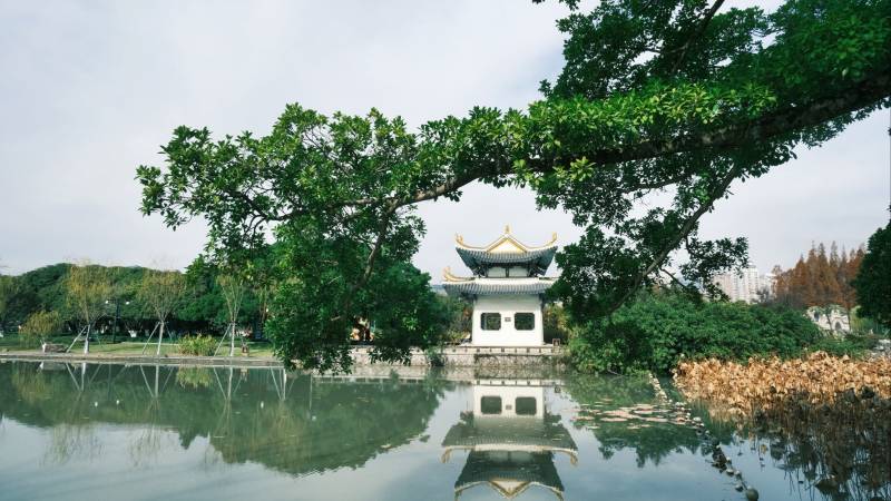 江心屿湖畔亭台倒影图片