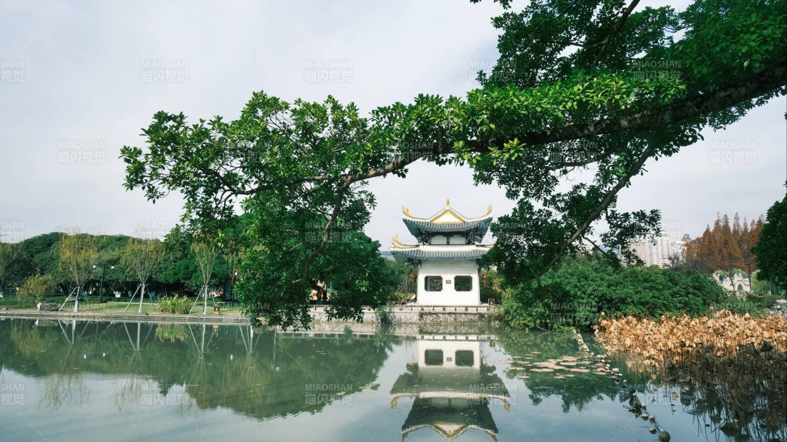 江心屿湖畔亭台倒影图片