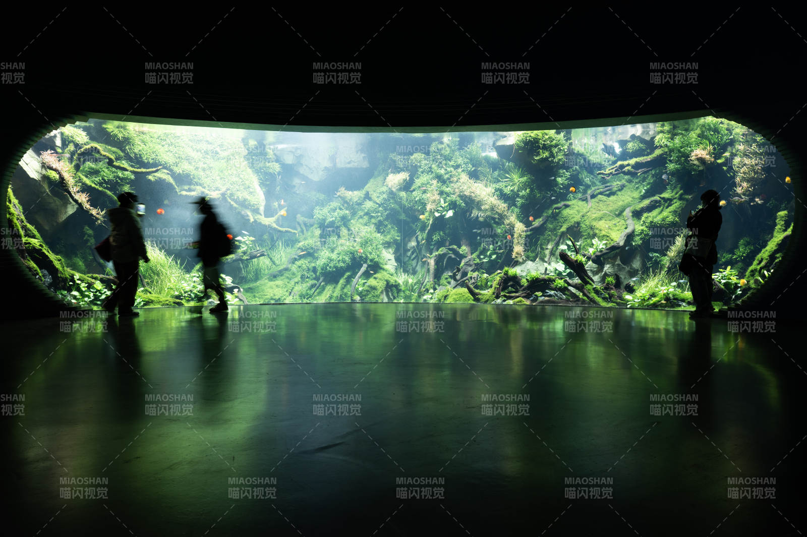 丛林秘境探奇图片