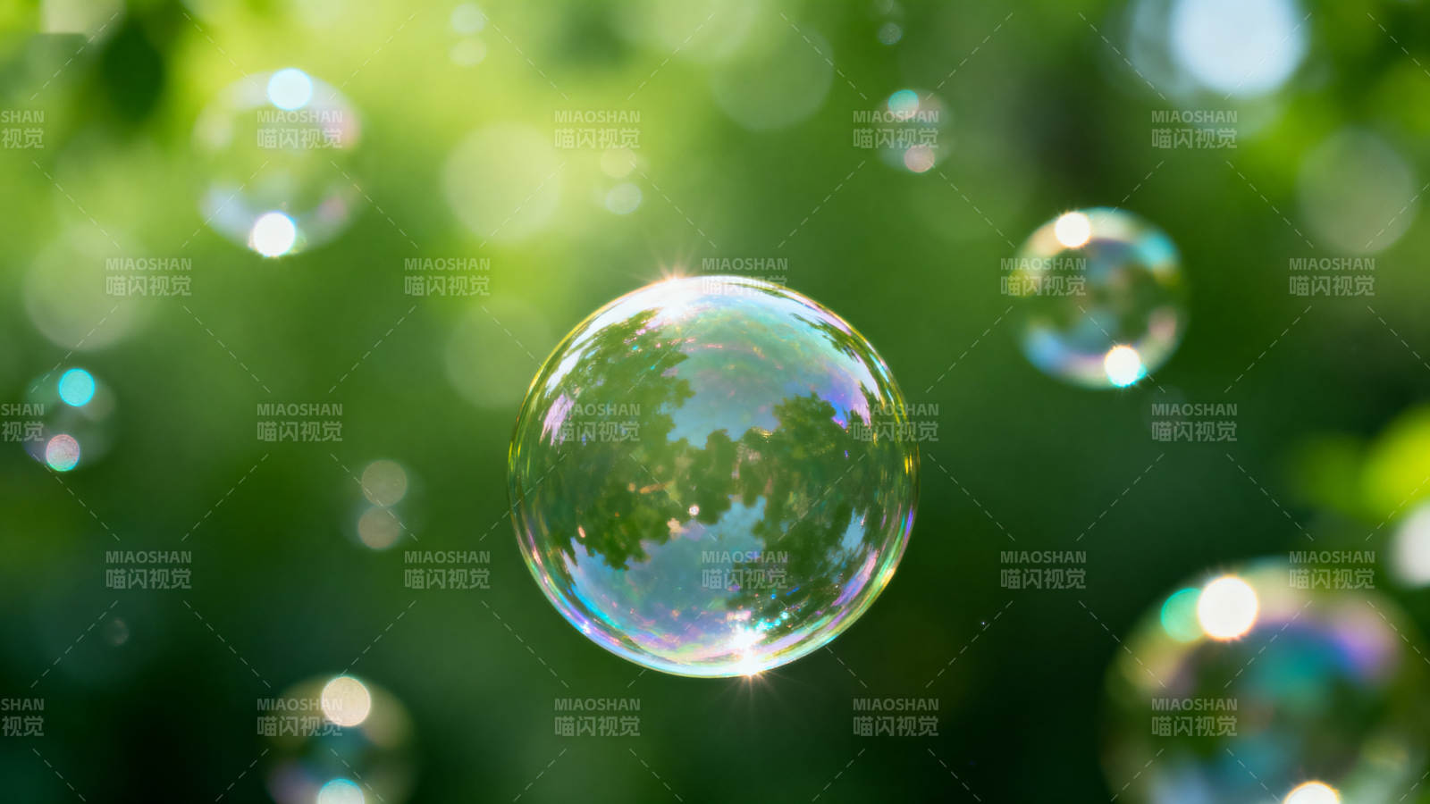 阳光下的肥皂泡图片