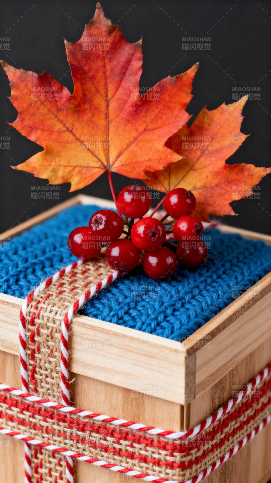 秋季礼物盒与红果装饰图片