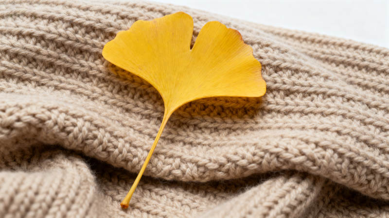 银杏叶与针织毛衣图片