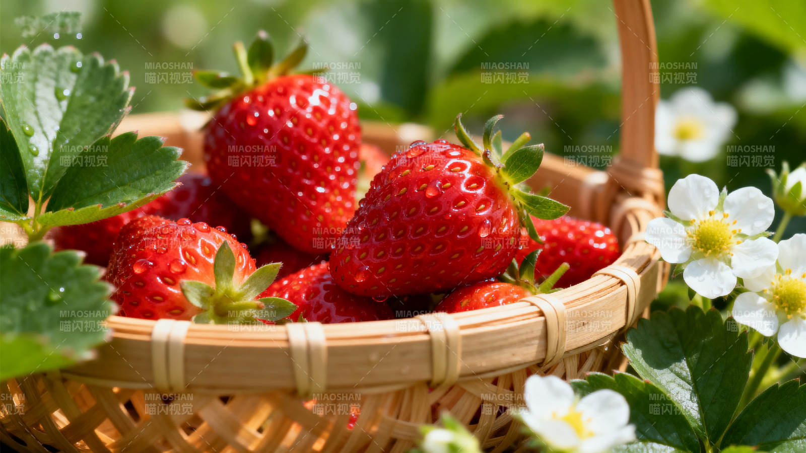 新鲜草莓篮子户外特写图片