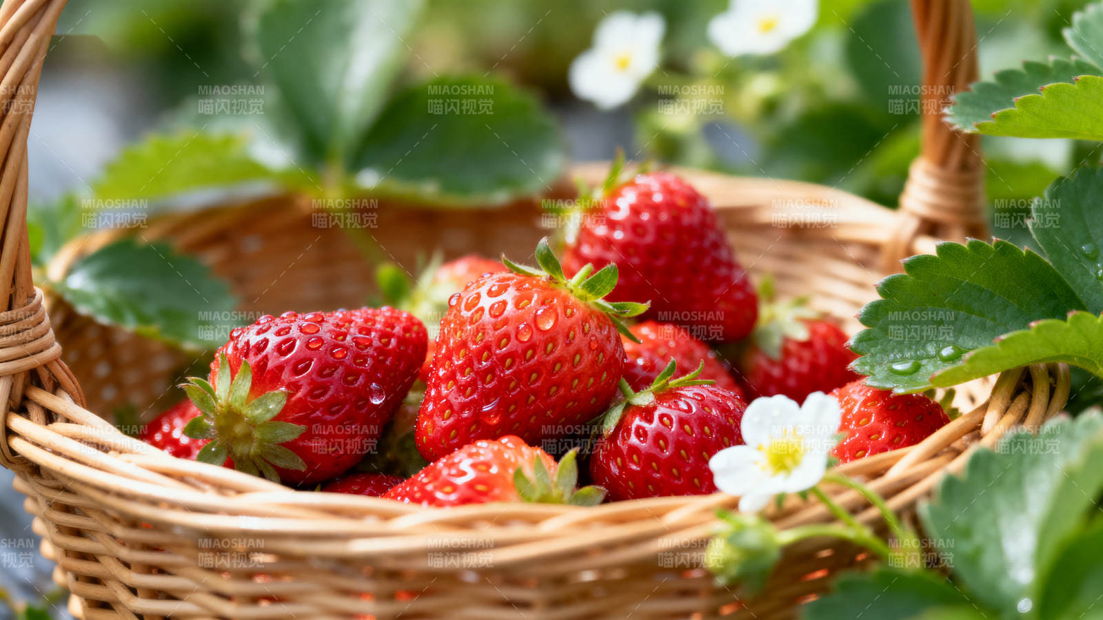 新鲜草莓篮子特写图片