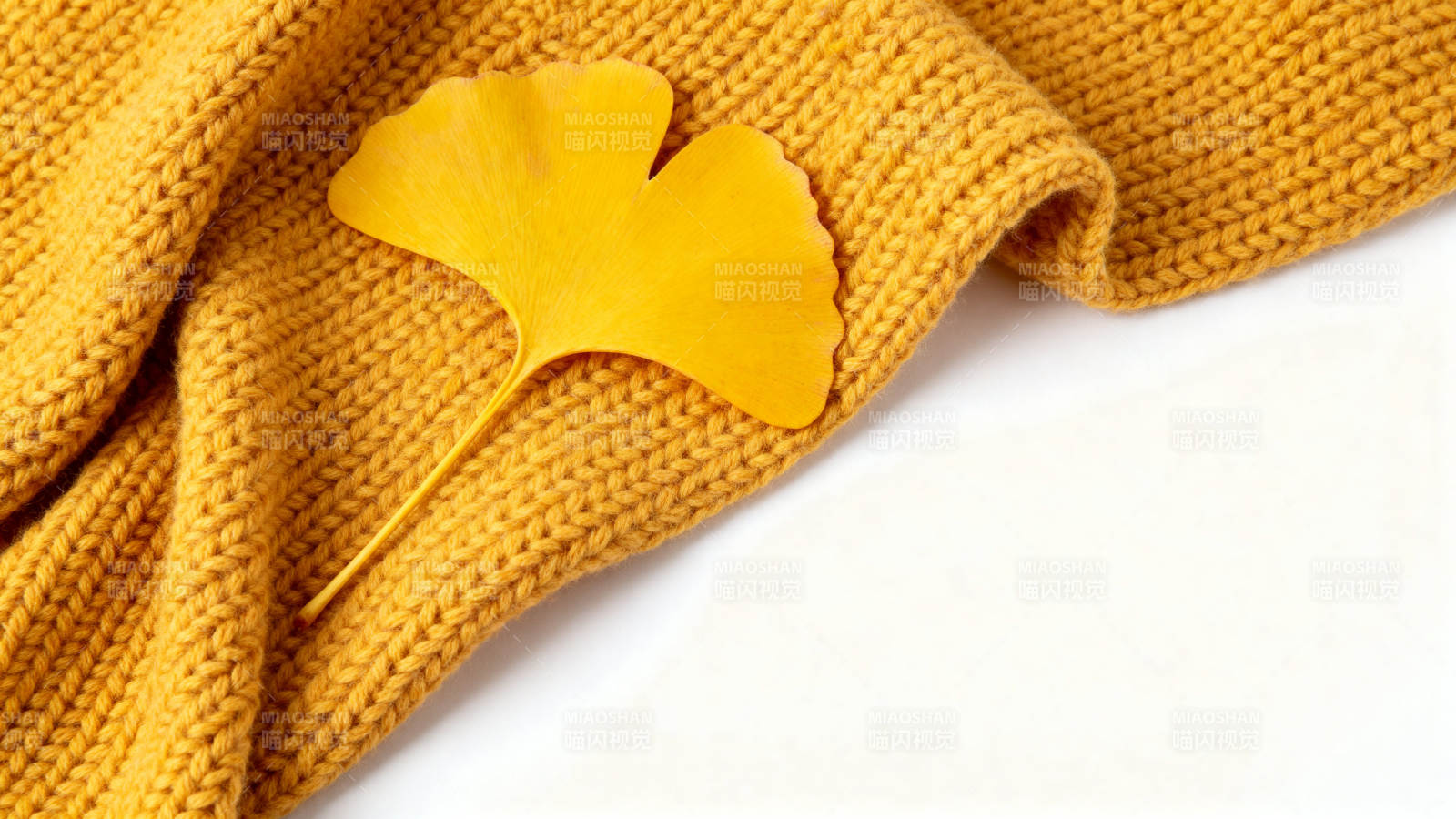 银杏叶与黄色毛衣的秋日意境图片