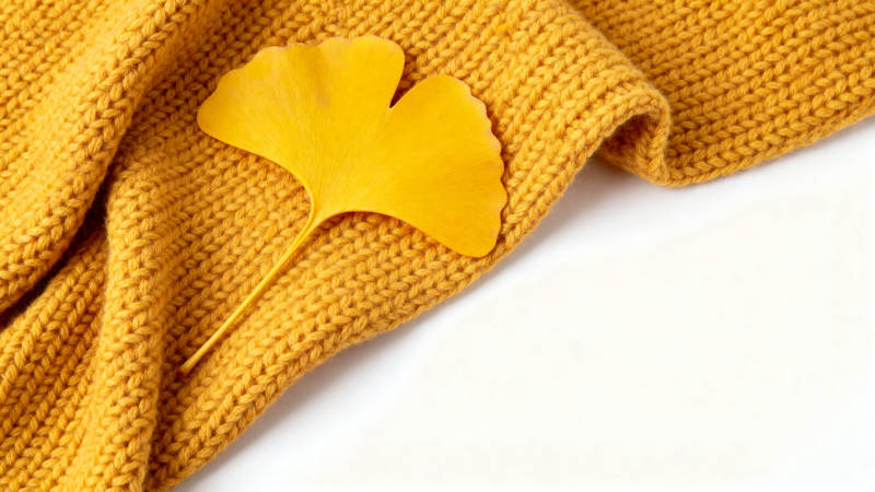 银杏叶与黄色毛衣的秋日意境图片