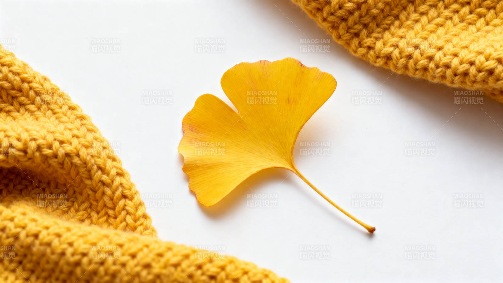 银杏叶与针织毛衣的秋意图片