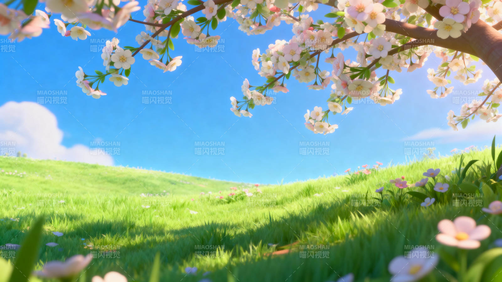 春日樱花盛开的草地图片