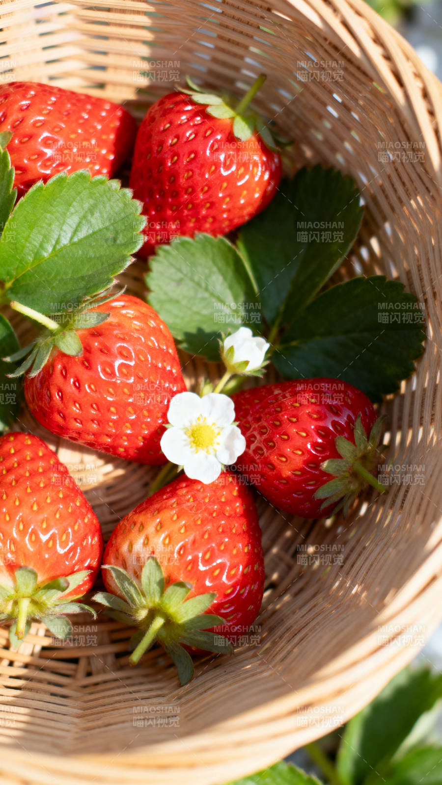 新鲜草莓篮中摆放图片