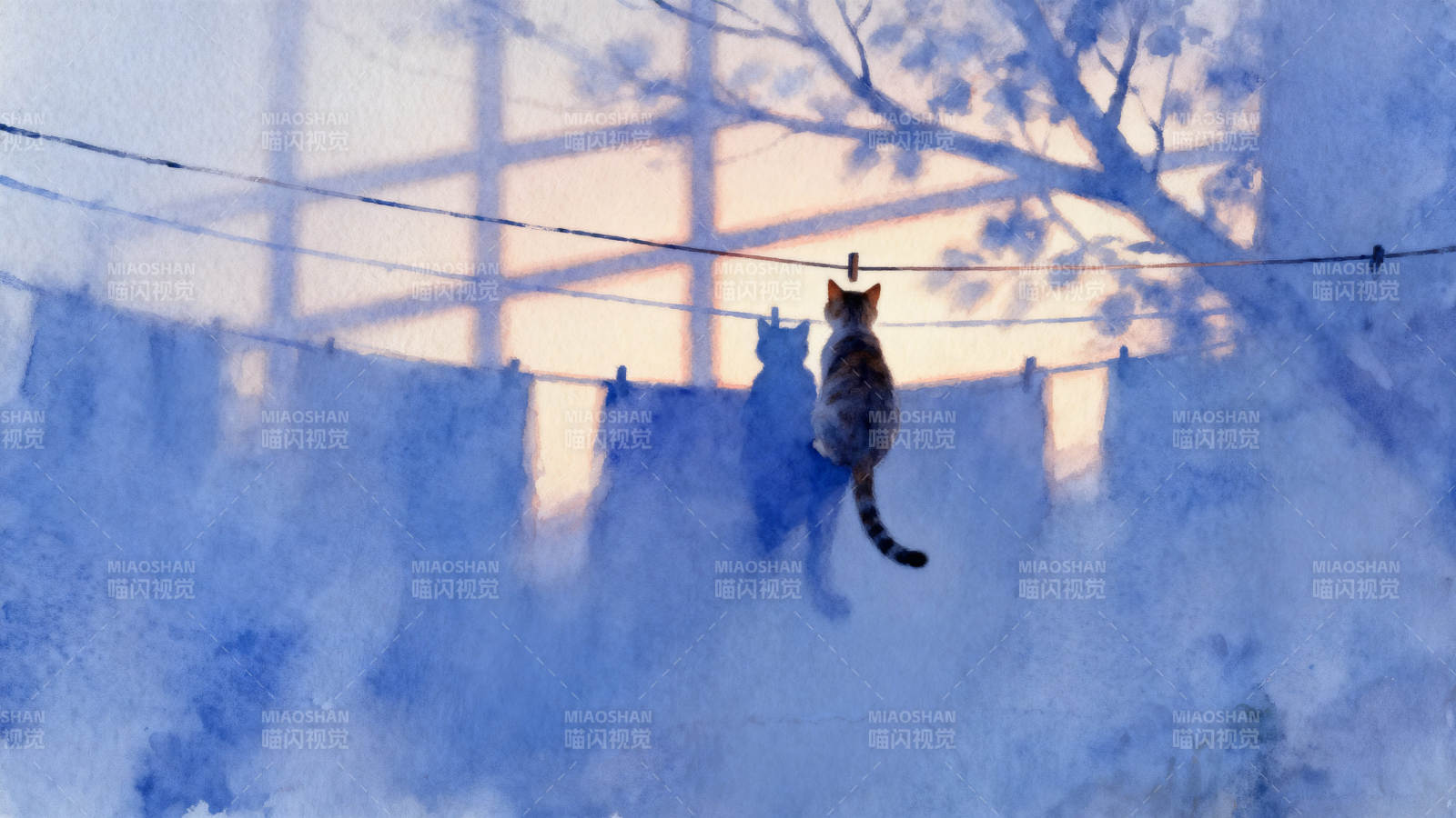 猫与晾衣绳的黄昏图片