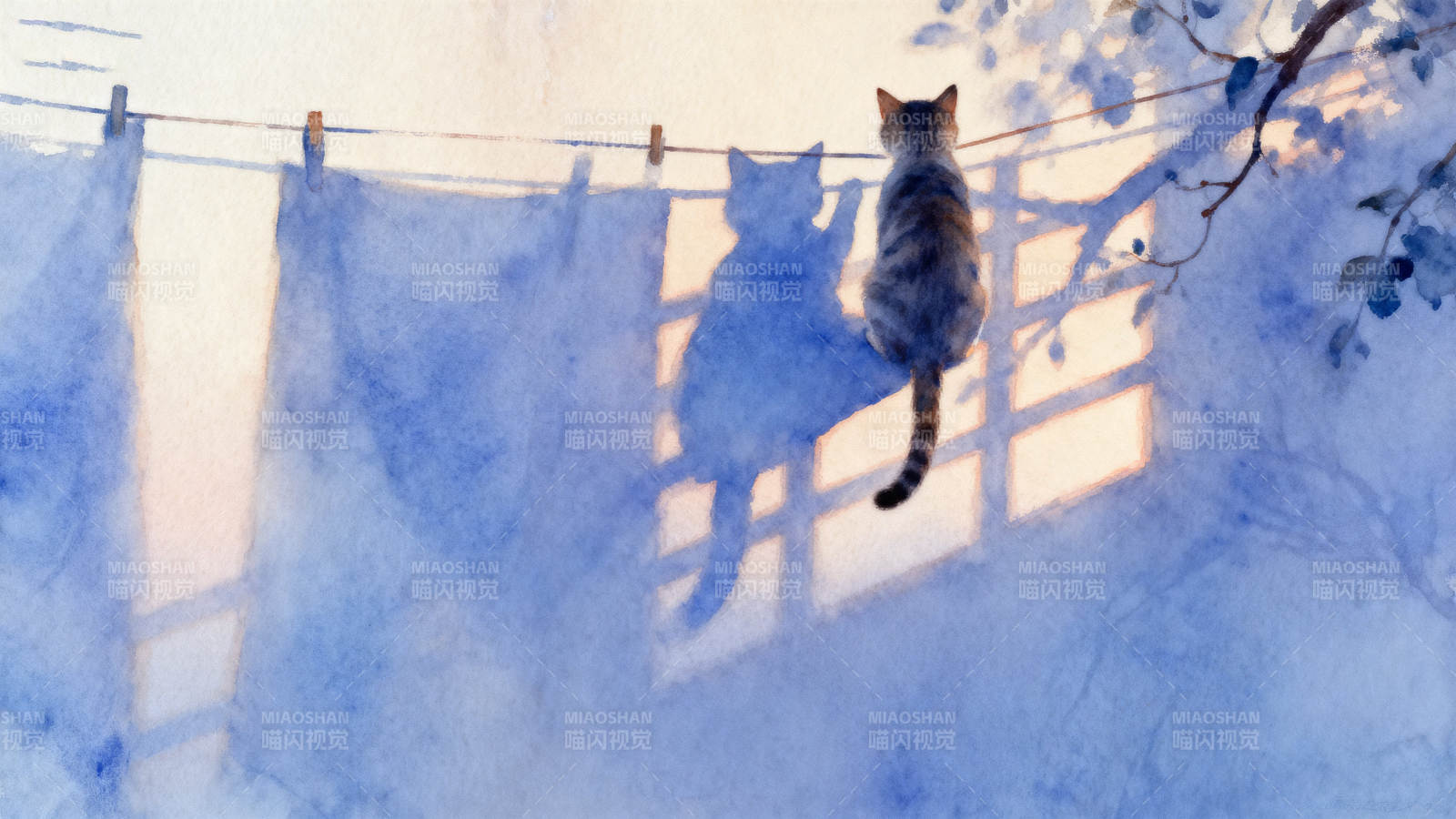 猫咪与晾衣绳的静谧时光图片