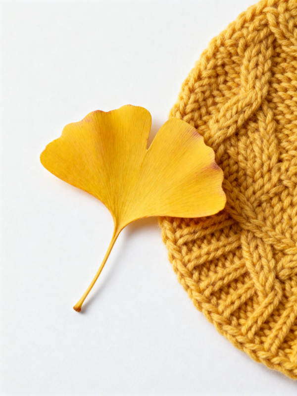 银杏叶与针织帽的秋日搭配图片