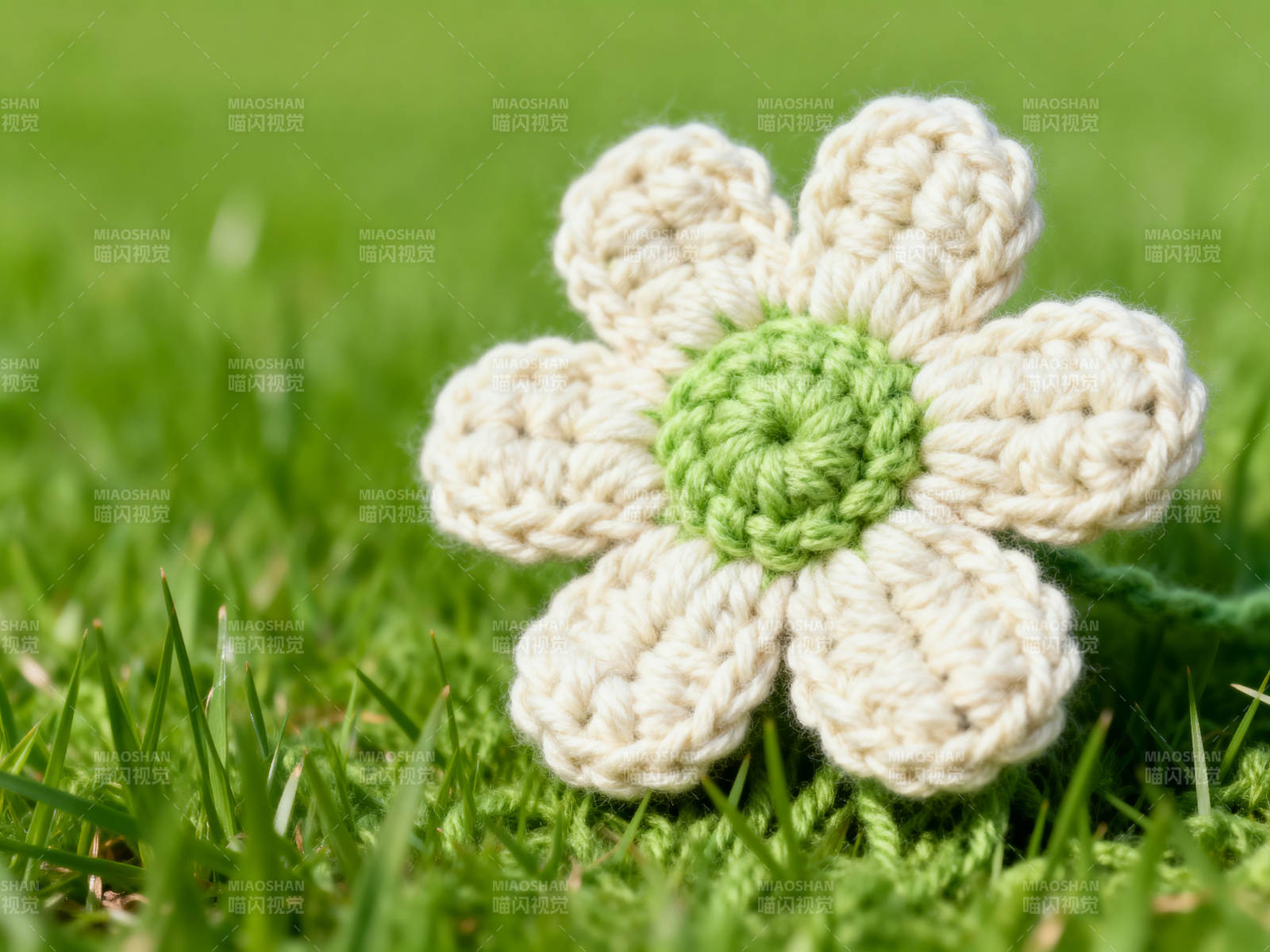 草地上的针织花朵图片