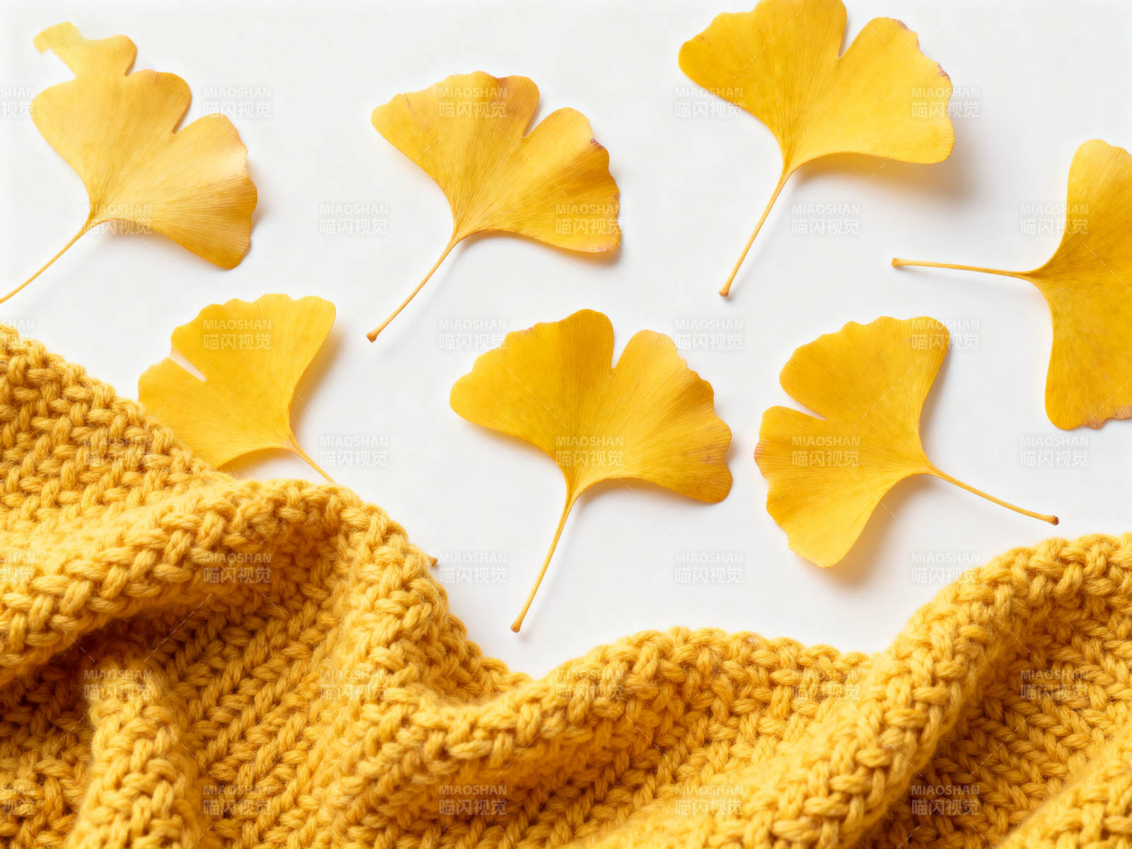 银杏叶与针织毛衣的秋日搭配图片